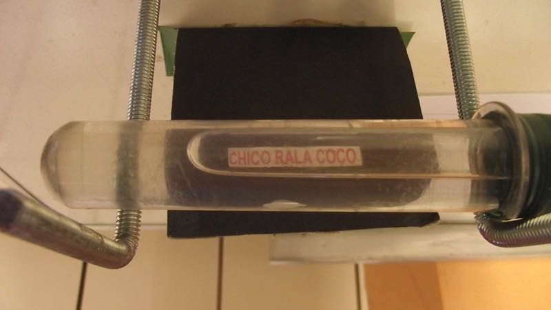 Efeito lente cilindrica CHICO RALA COCO