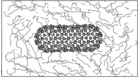 nanocomposito